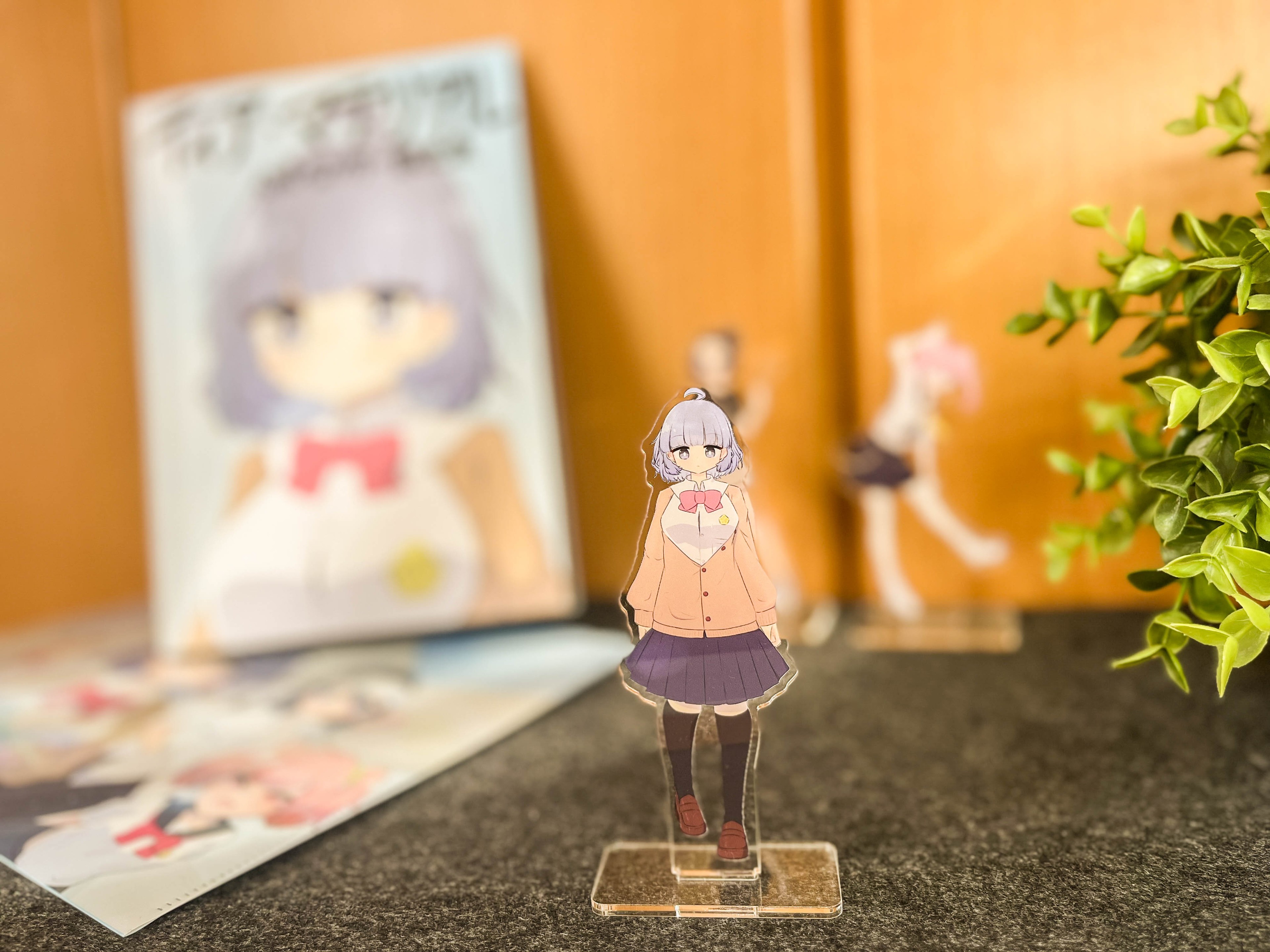 Goods Image 2